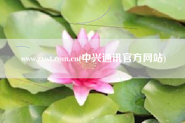 www.zxwt.com.cn(中兴通讯官方网站)