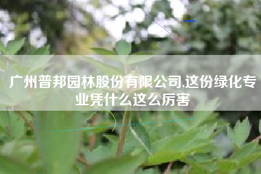 广州普邦园林股份有限公司,这份绿化专业凭什么这么厉害