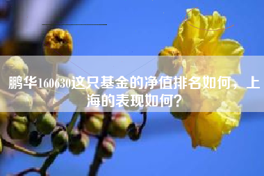 鹏华160630这只基金的净值排名如何，上海的表现如何？